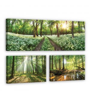Slika na platnu: Put kroz šumu - set 1kom 80x30 cm i 2kom 37,5x24,8 cm 