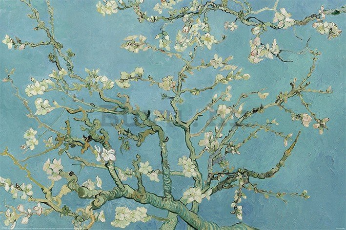 Poster - Van Gogh, Cvjetovi badema