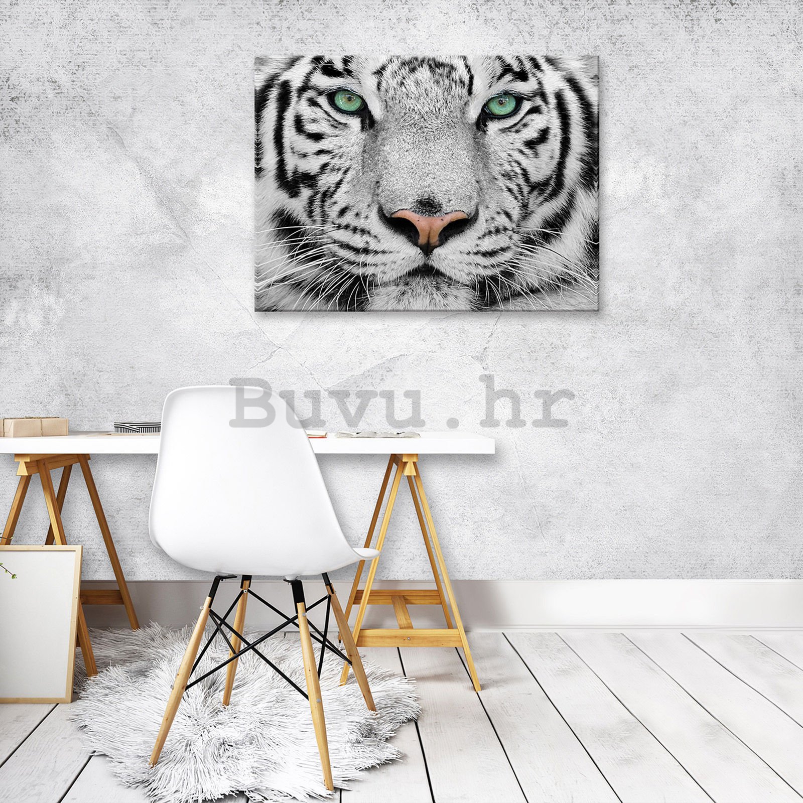 Slika na platnu: Bijeli tigar - 80x60 cm