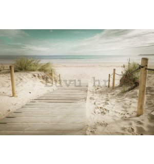 Foto tapeta: Put na plažu (10) - 368x254 cm