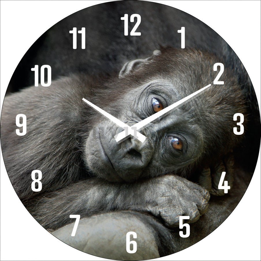 Zidni stakleni sat: Beba gorila - 30 cm