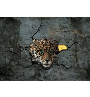 Vlies foto tapeta: Gepard u zidu - 152,5x104 cm