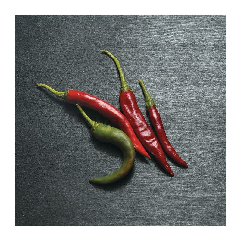 Slika na platnu: Ljute papričice - 30x30 cm 