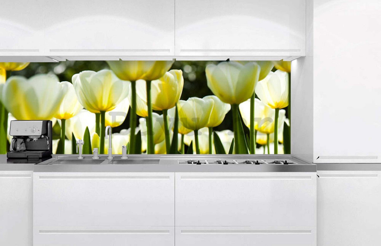 Samoljepljiva periva foto tapeta za kuhinju - Bijeli tulipani, 180x60 cm