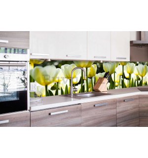 Samoljepljiva periva foto tapeta za kuhinju - Bijeli tulipani, 260x60 cm