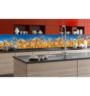 Samoljepljiva periva foto tapeta za kuhinju - Pšenično polje, 350x60 cm