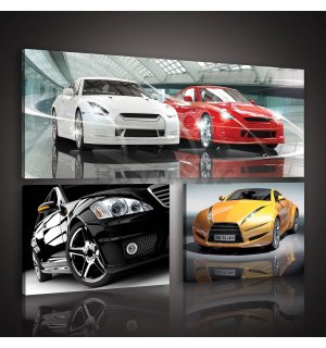 Slika na platnu: Sportski automobili - set 1kom 80x30 cm i 2kom 37,5x24,8 cm 