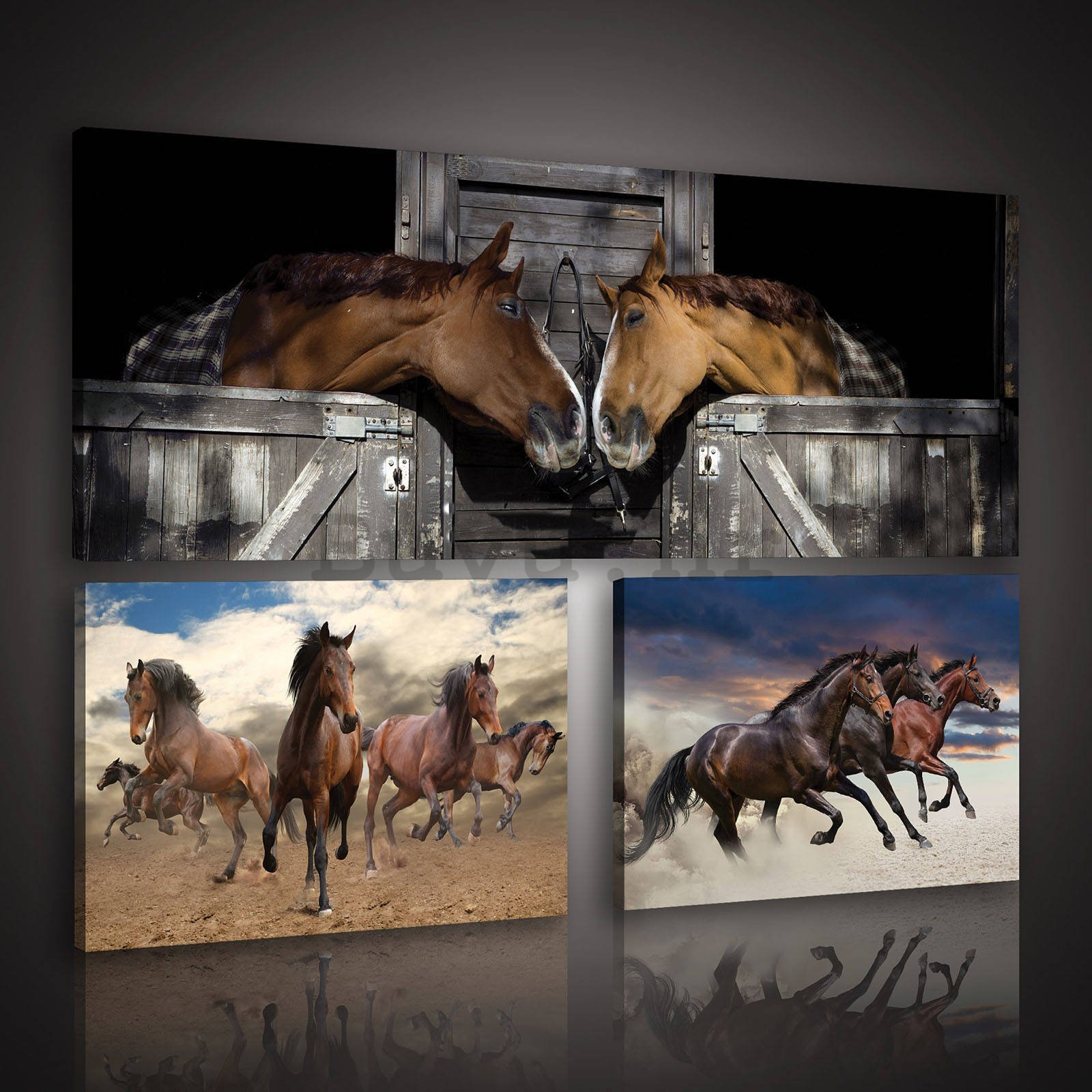 Slika na platnu: Konji (1) - set 1kom 80x30 cm i 2kom 37,5x24,8 cm 