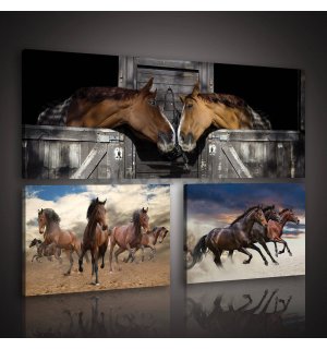 Slika na platnu: Konji (1) - set 1kom 80x30 cm i 2kom 37,5x24,8 cm 