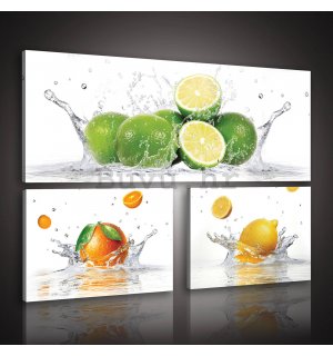 Slika na platnu: Limes - set 1kom 80x30 cm i 2kom 37,5x24,8 cm 