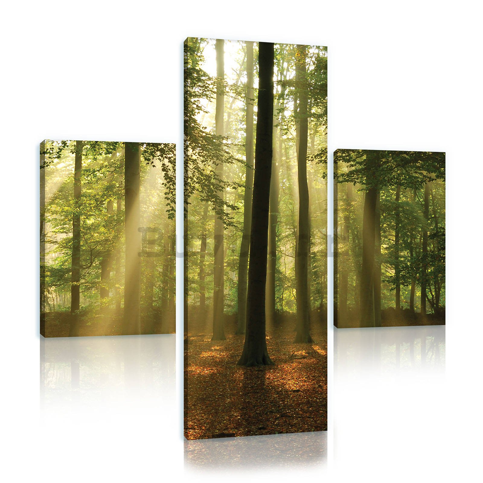 Slika na platnu: Sunce u šumi (4) - set 1kom 80x30 cm i 2kom 37,5x24,8 cm 