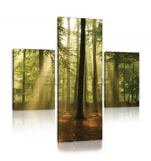 Slika na platnu: Sunce u šumi (4) - set 1kom 80x30 cm i 2kom 37,5x24,8 cm 