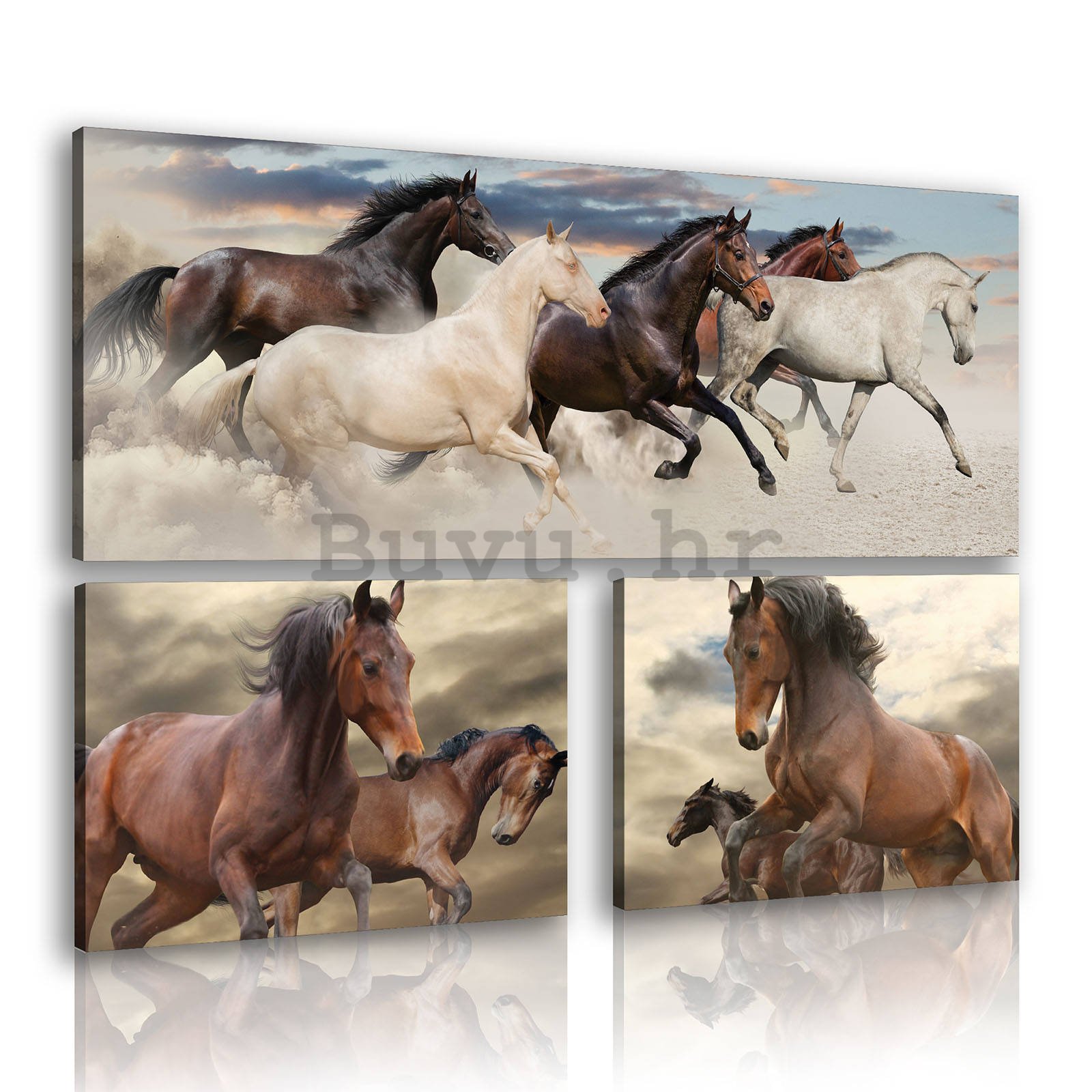 Slika na platnu: Konji (2) - set 1kom 80x30 cm i 2kom 37,5x24,8 cm 