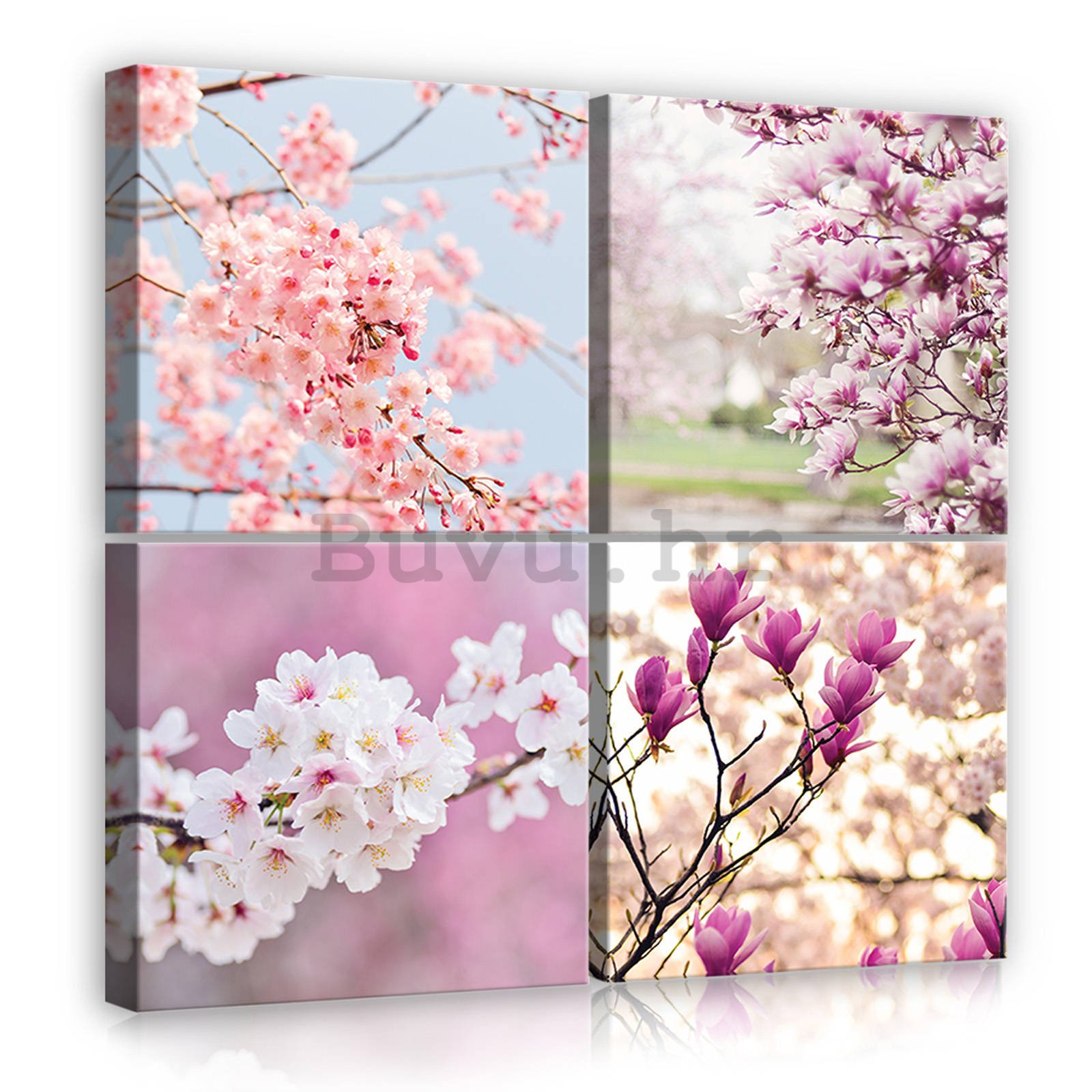 Slika na platnu: Rozkvetlé třešně (1) - set 4kom 25x25cm