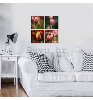Slika na platnu: Tulipani (1) - set 4kom 25x25cm