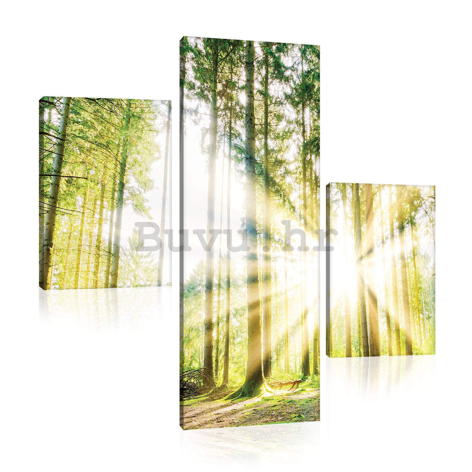 Slika na platnu: Sunce u šumi (2) - set 1kom 80x30 cm i 2kom 37,5x24,8 cm 