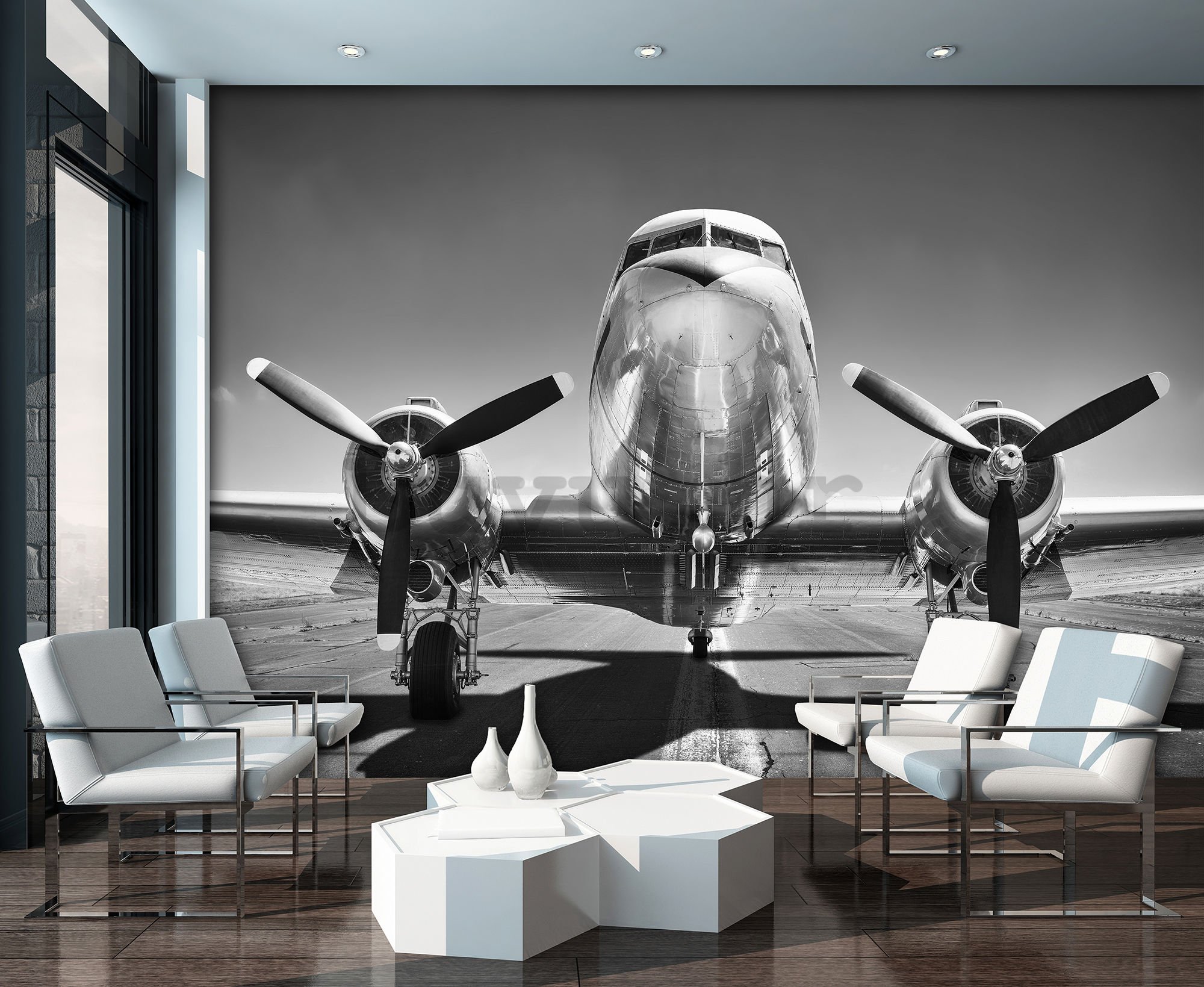 Vlies foto tapeta: Crno-bijeli zrakoplovi (1) - 368x254 cm