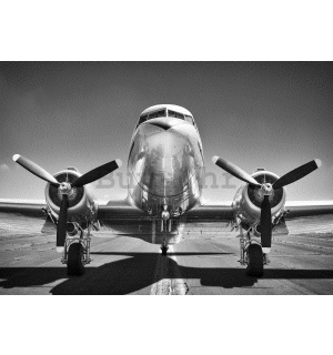 Foto tapeta Vlies: Crno-bijeli zrakoplovi (1) - 104x152,5 cm