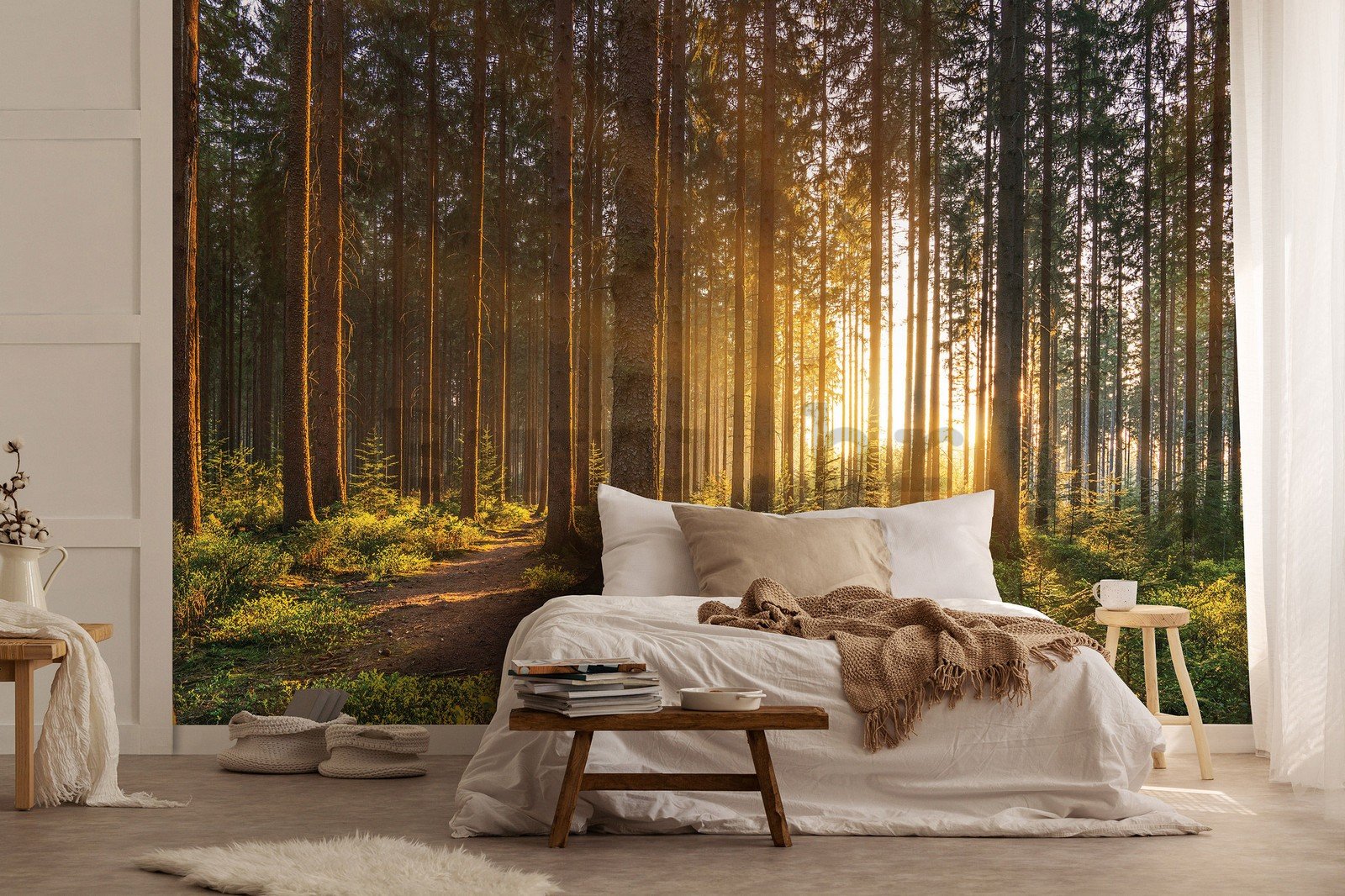 Vlies foto tapeta: Zalazak sunca u šumi (2) - 254x184 cm