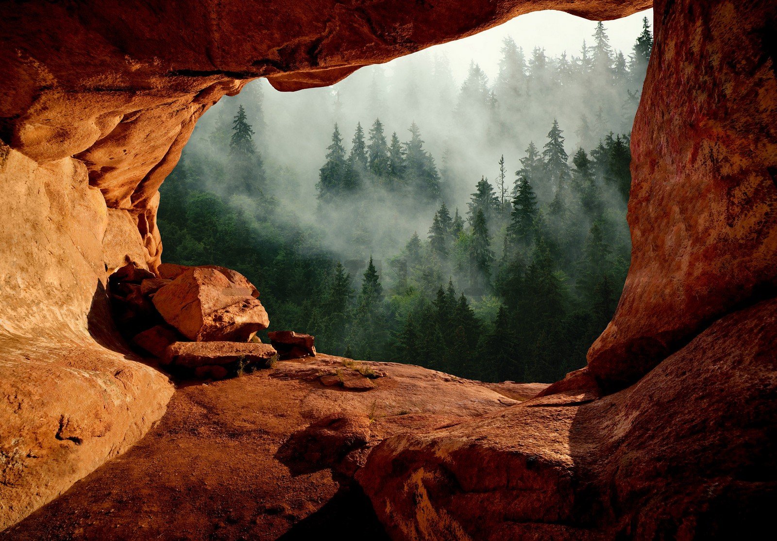 Vlies foto tapeta: Pećina pored šume - 254x184 cm