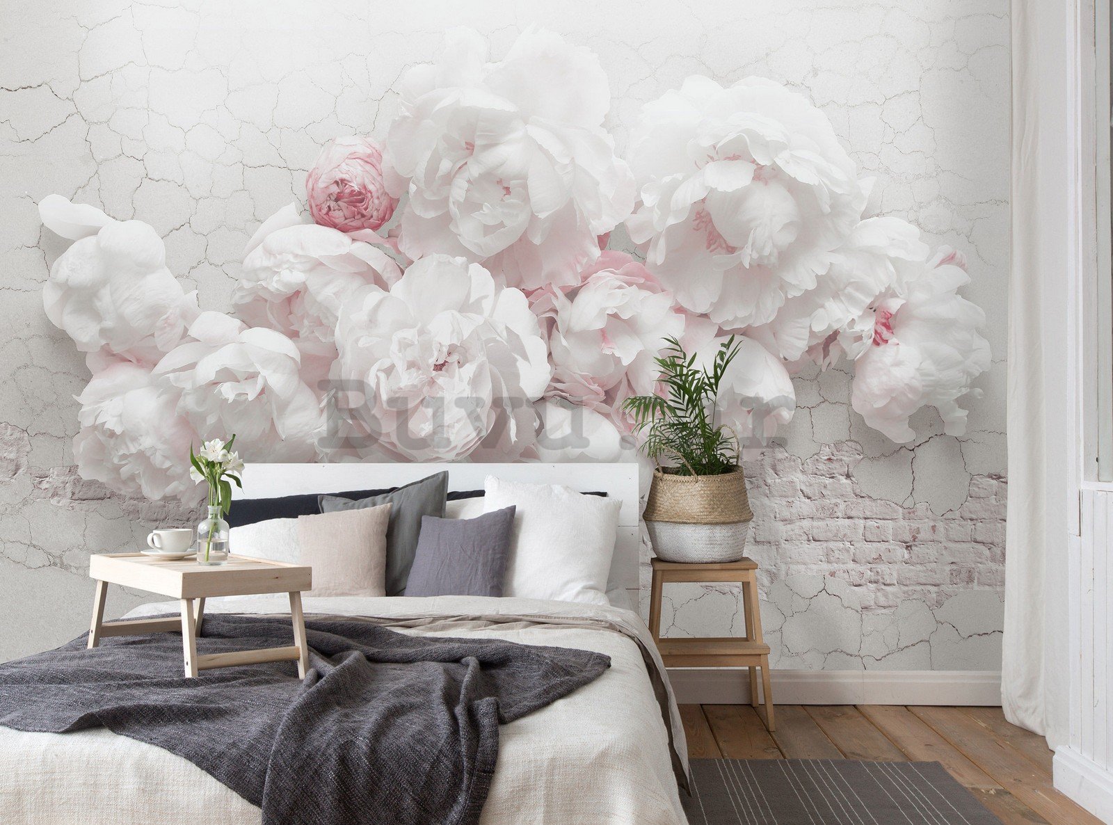 Vlies foto tapeta: Bijele ruže na zidu - 368x254 cm