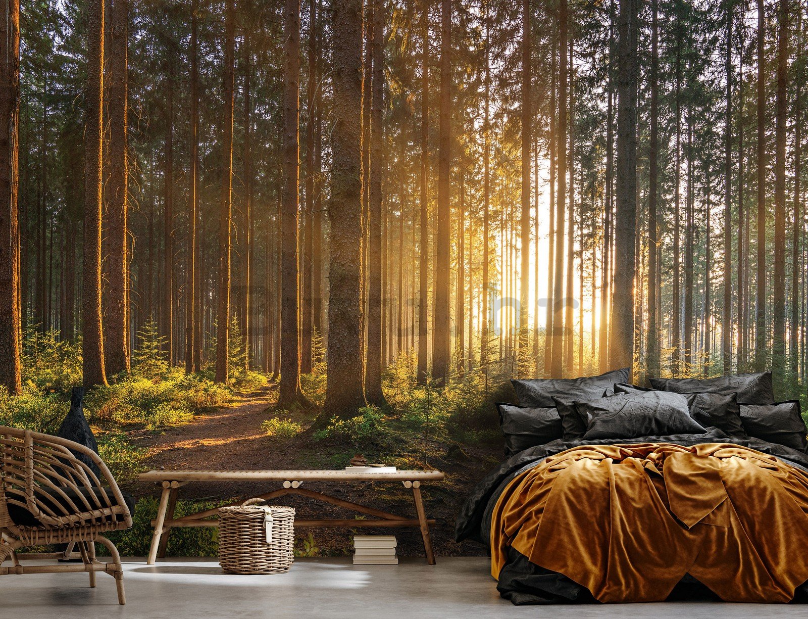 Vlies foto tapeta: Zalazak sunca u šumi (2) - 368x254 cm