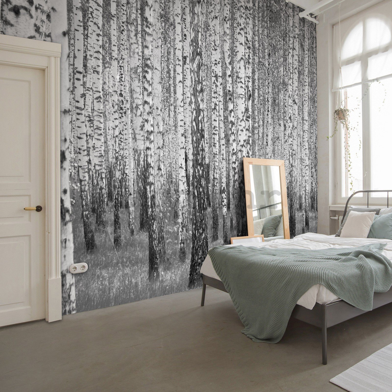 Vlies foto tapeta: Crno-bijele breze - 368x254 cm