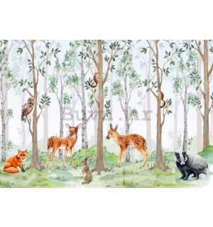 Vlies foto tapeta: Šumski životinjski svijet - 368x254 cm