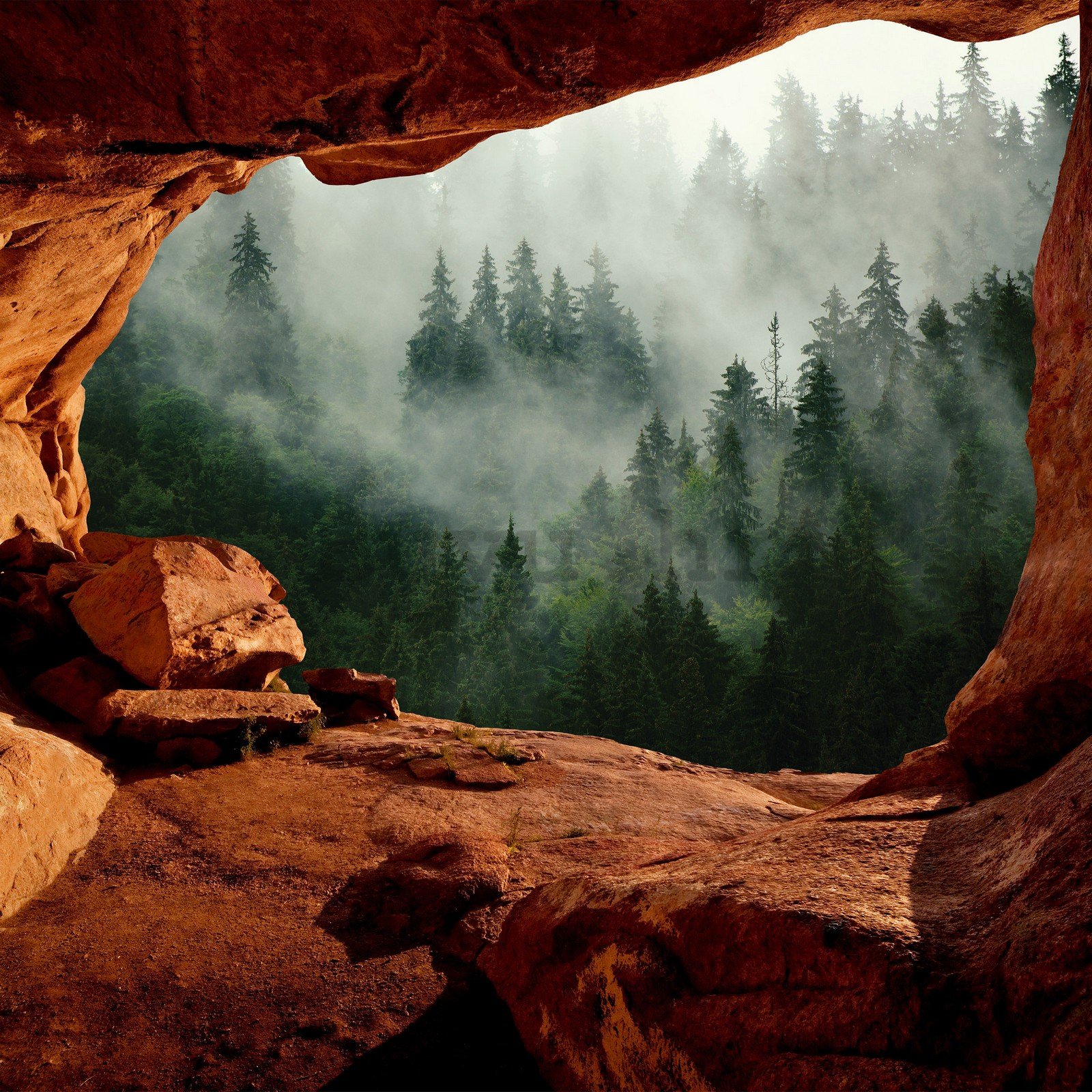 Vlies foto tapeta: Pećina pored šume - 368x254 cm