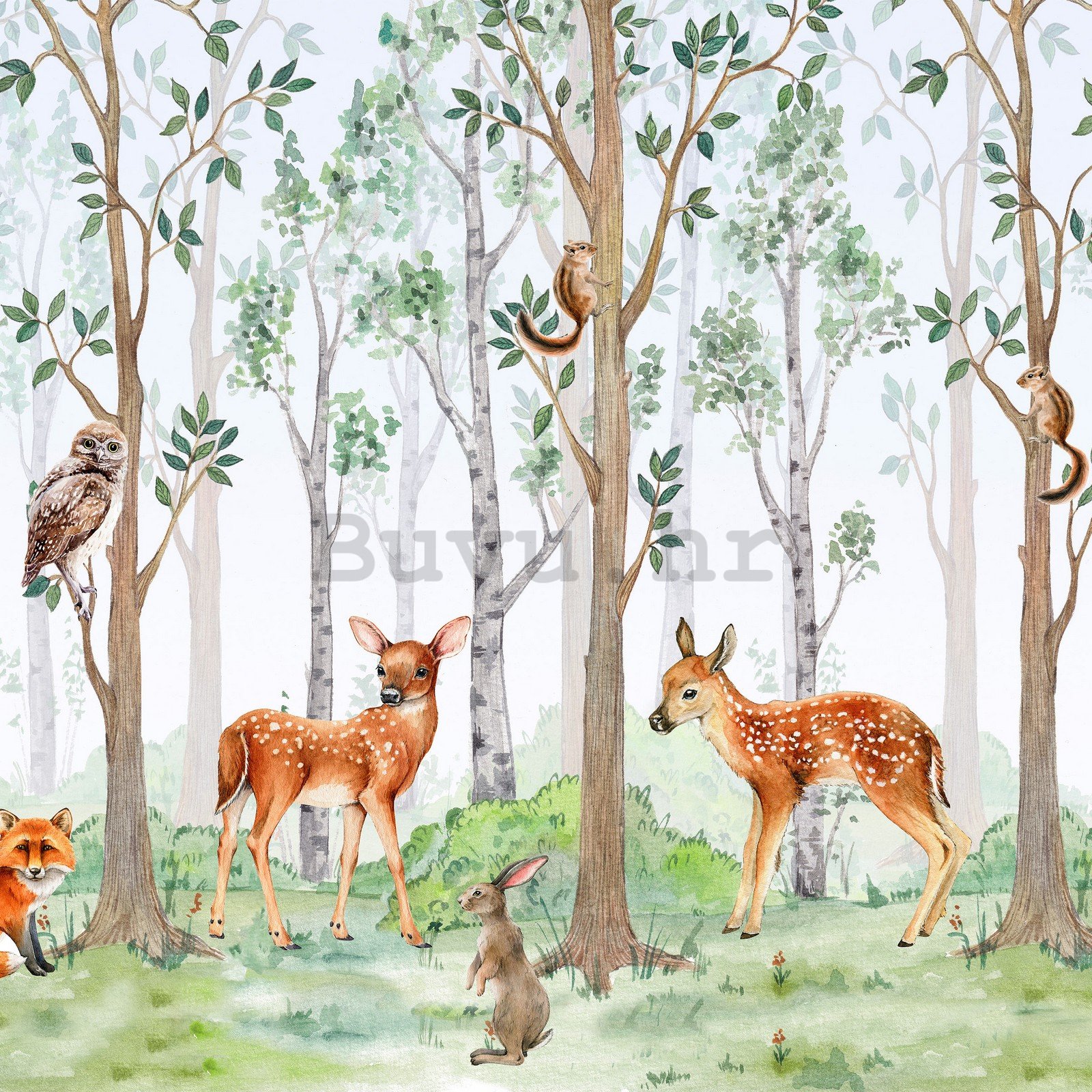 Vlies foto tapeta: Šumski životinjski svijet - 152,5x104 cm