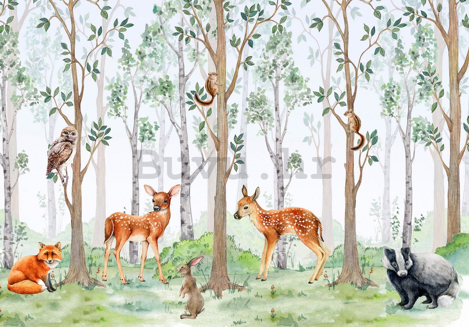 Vlies foto tapeta: Šumski životinjski svijet - 152,5x104 cm