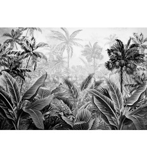 Vlies foto tapeta: Palme i paprati (crno-bijele) - 416x254 cm
