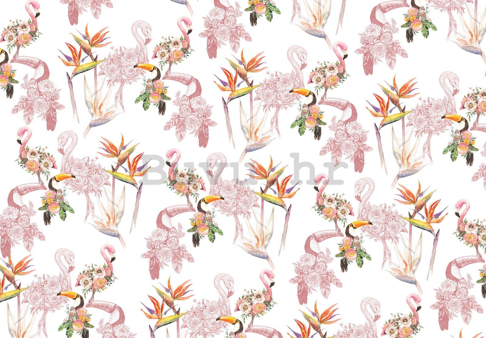 Vlies foto tapeta: Flamingosi i tukani - 416x254 cm