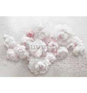 Vlies foto tapeta: Bijele ruže na zidu - 416x254 cm