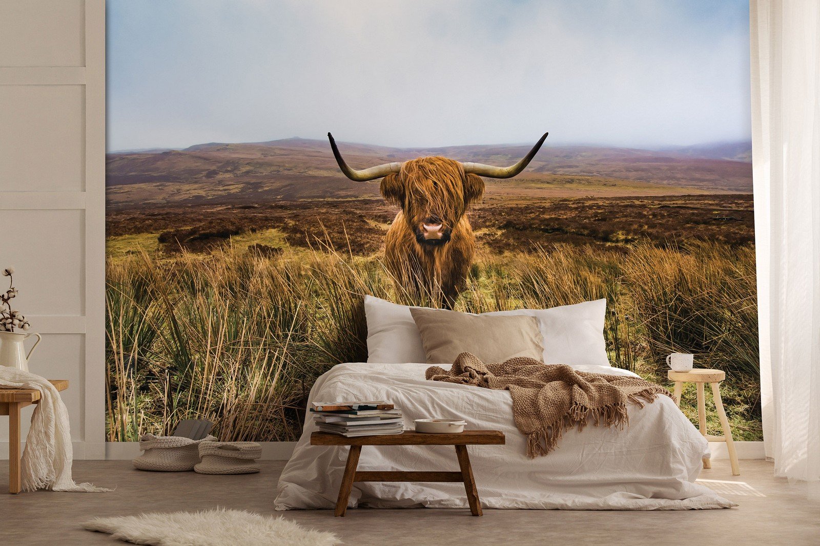Vlies foto tapeta: Višavsko škotsko govedo (1) - 152,5x104 cm