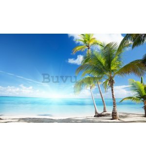 Vlies foto tapeta: Palme na plaži - 254x184 cm