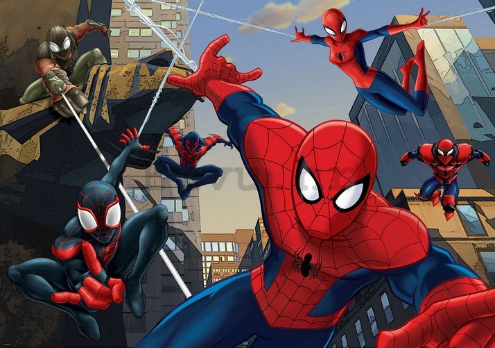 Foto tapeta: Spiderman (2) - 254x184 cm