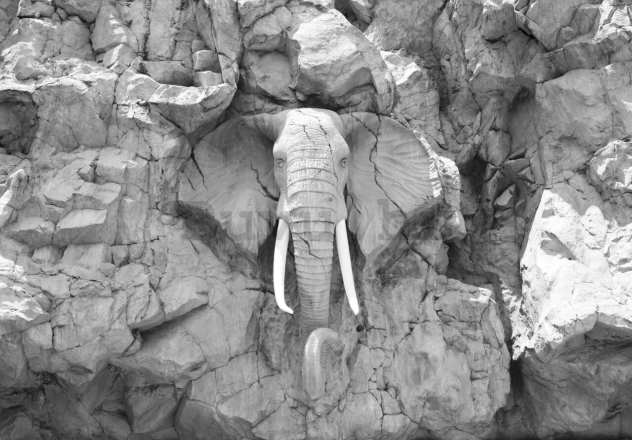 Foto tapeta: Glineni slon (crno i bijelo) - 368x254cm