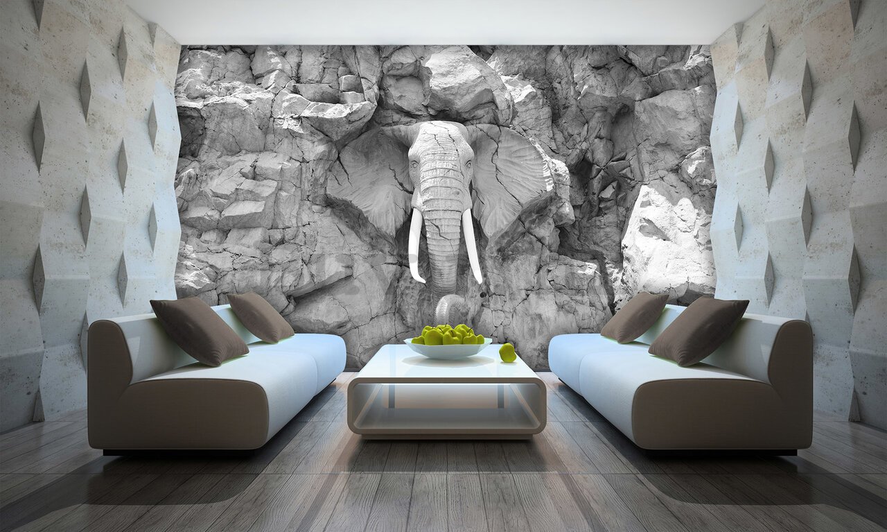 Foto tapeta: Glineni slon (crno i bijelo) - 368x254cm