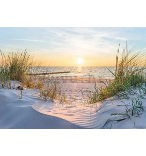 Vlies foto tapeta: Baltička plaža - 368x254 cm