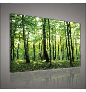 Slika na platnu: Šuma (2) - 75x100 cm