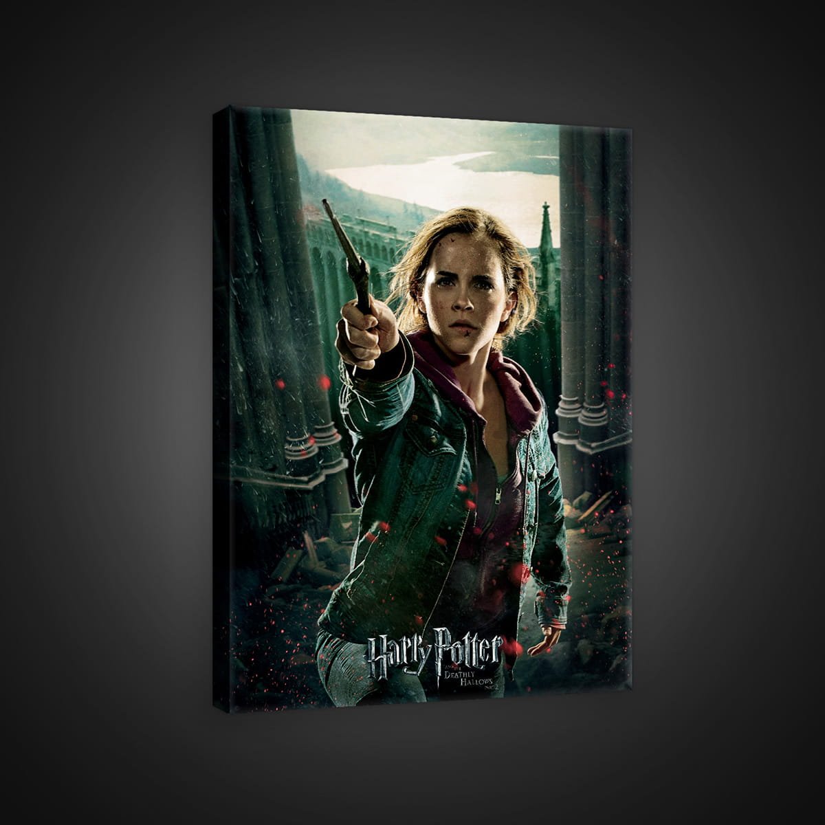 Slika na platnu: Harry Potter (Hermiona) - 75x100 cm