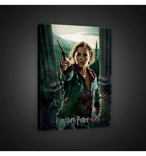 Slika na platnu: Harry Potter (Hermiona) - 75x100 cm