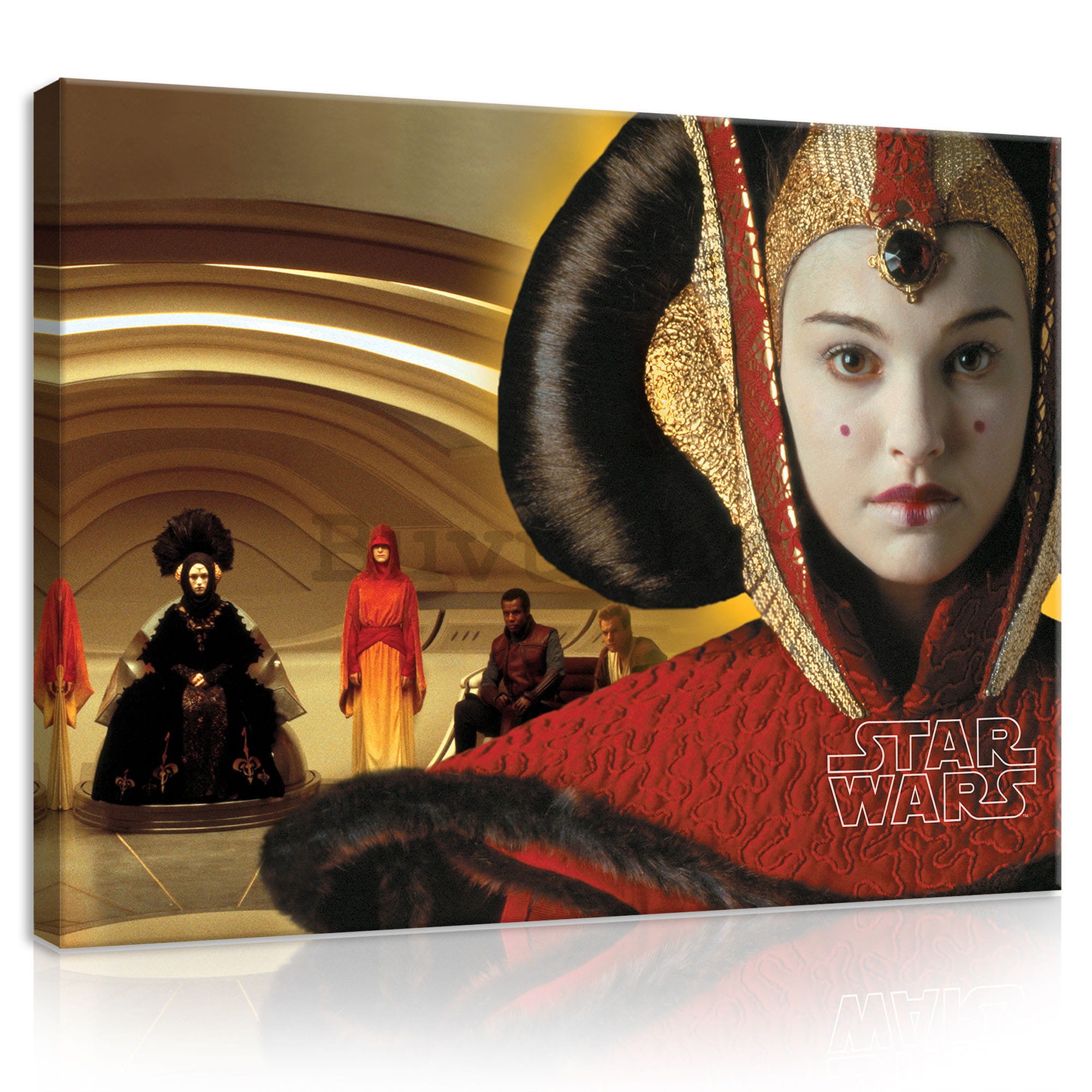 Slika na platnu: Star Wars (Princeza Amidala) - 100x75 cm
