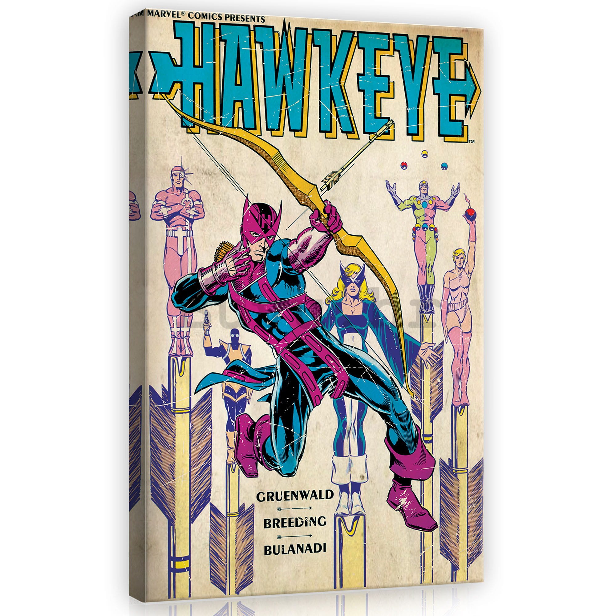 Slika na platnu: Hawkeye - 40x60 cm