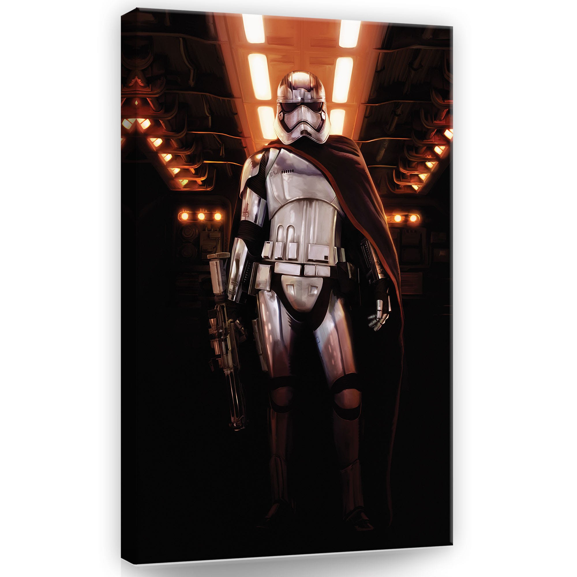 Slika na platnu: Star Wars Captain Phasma (1) - 40x60 cm