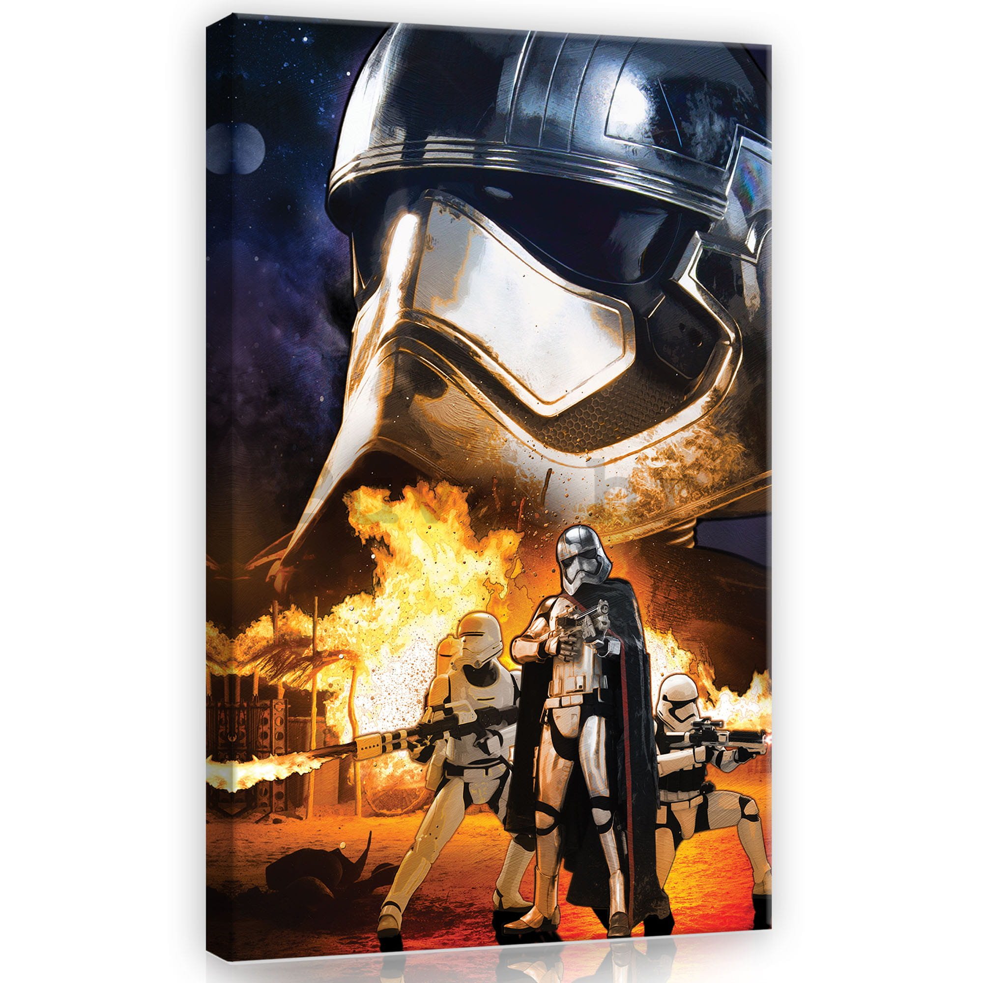 Slika na platnu: Star Wars Captain Phasma - 40x60 cm