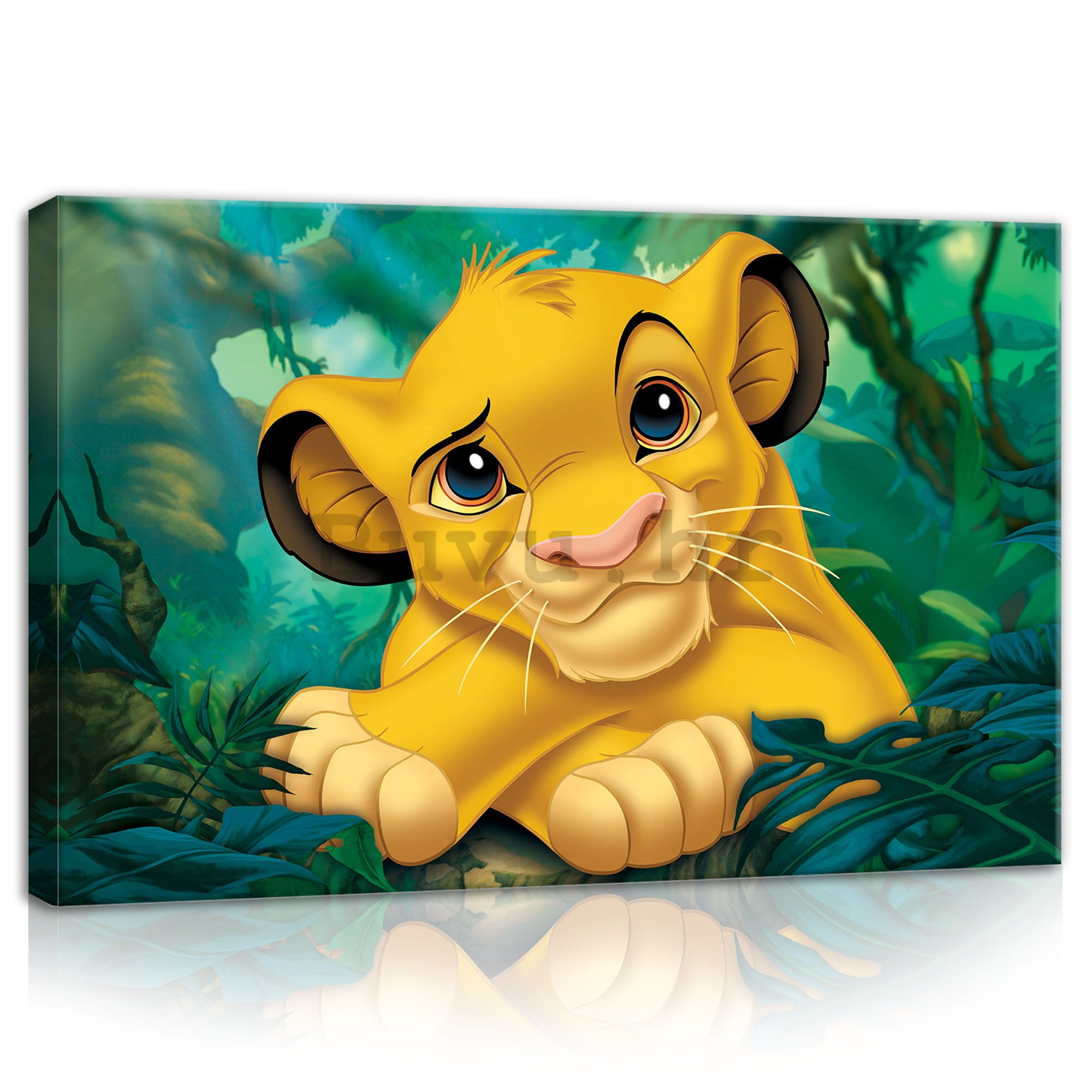 Slika na platnu: Kralj lavova (Simba) - 60x40 cm