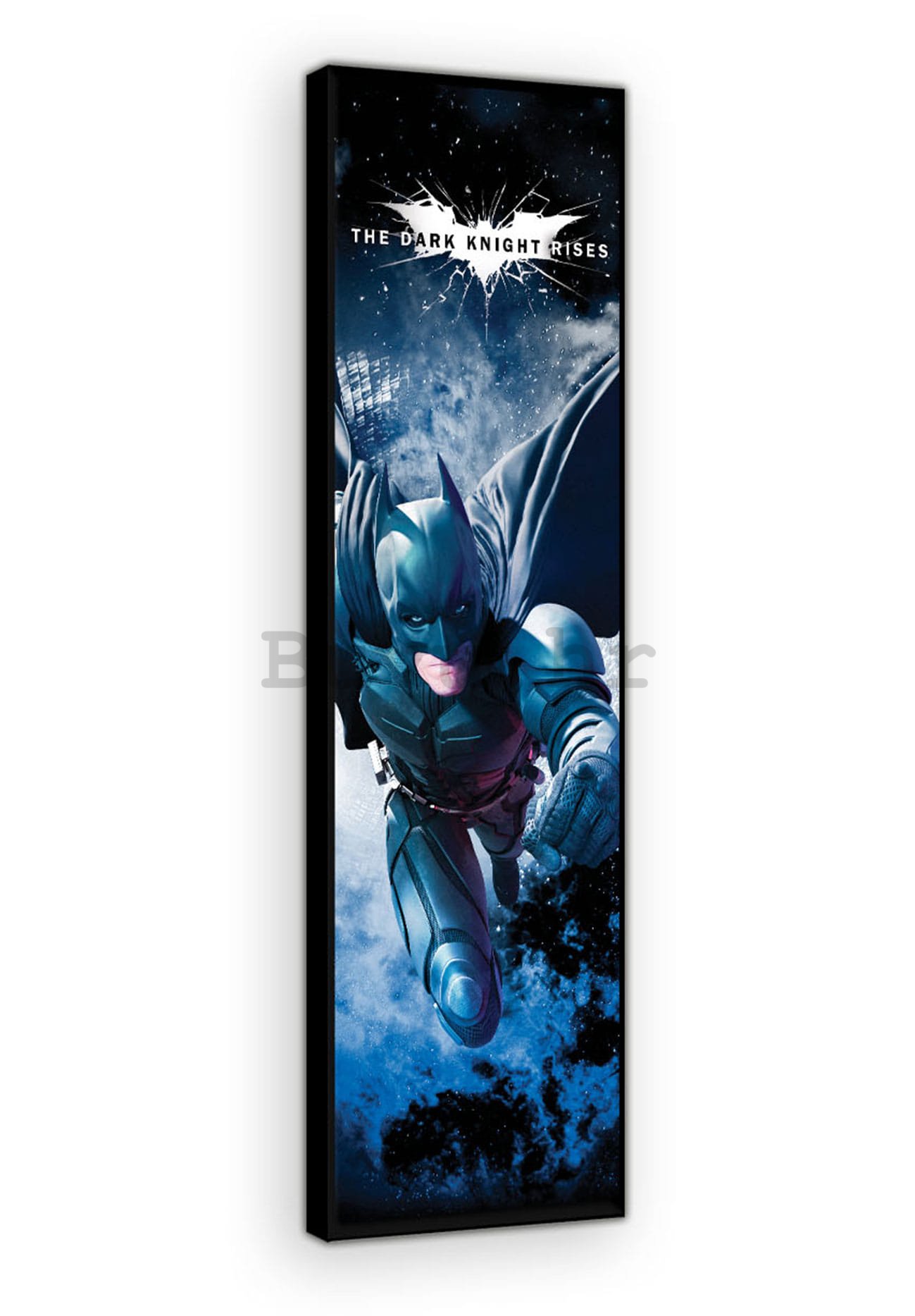 Slika na platnu: Dark Knight (3) - 45x145 cm