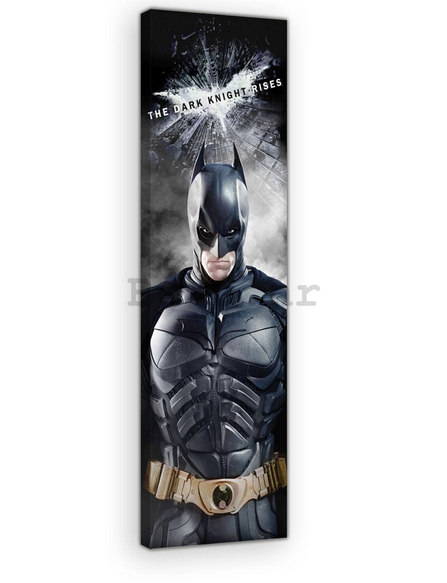 Slika na platnu: Dark Knight (5) - 45x145 cm